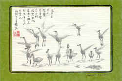 spoonbill2.jpg (63783 Ӧ줸)